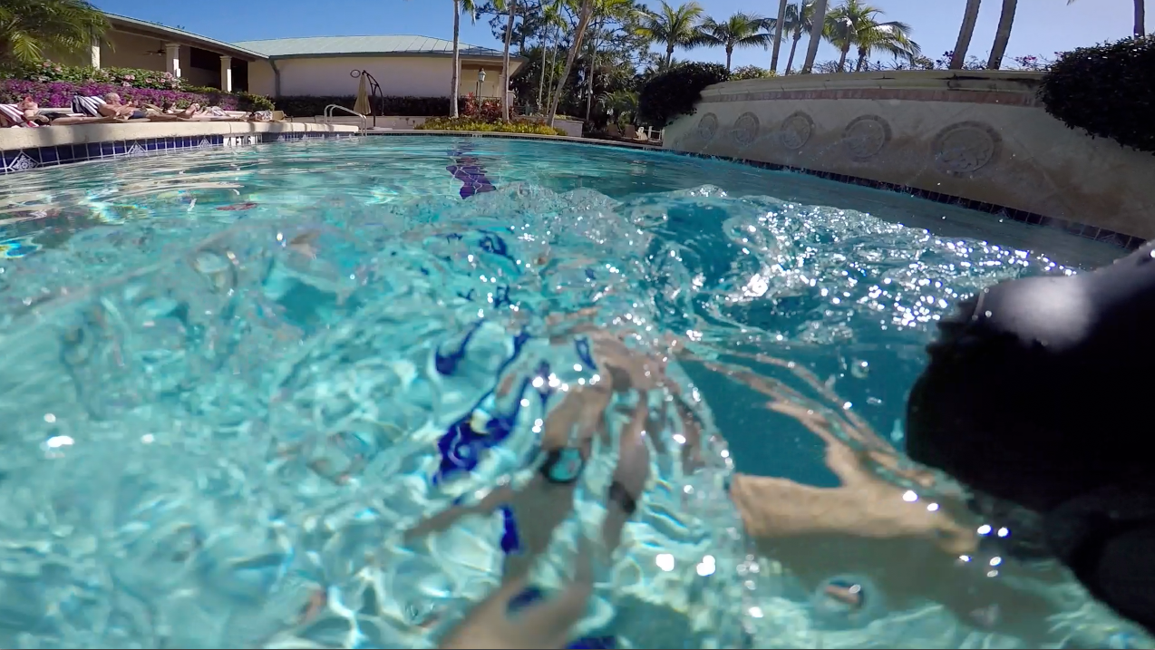 Dive Mount