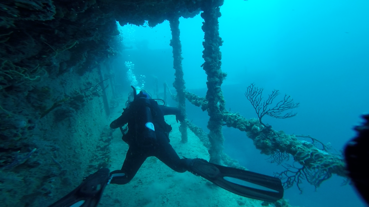 Dive Mount